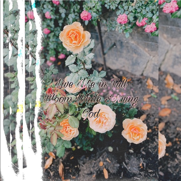 Meet your Posher, Brianna - Picture 3 of 7